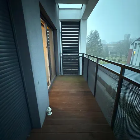 Szachty * Познань